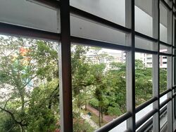 Blk 249 Tampines Street 21 (Tampines), HDB 4 Rooms #560393271